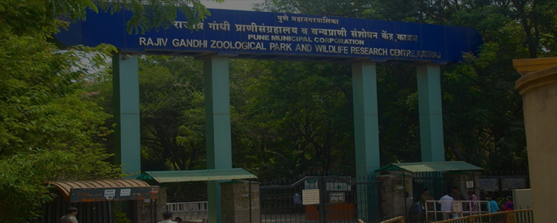Rajiv Gandhi Zoological Park 